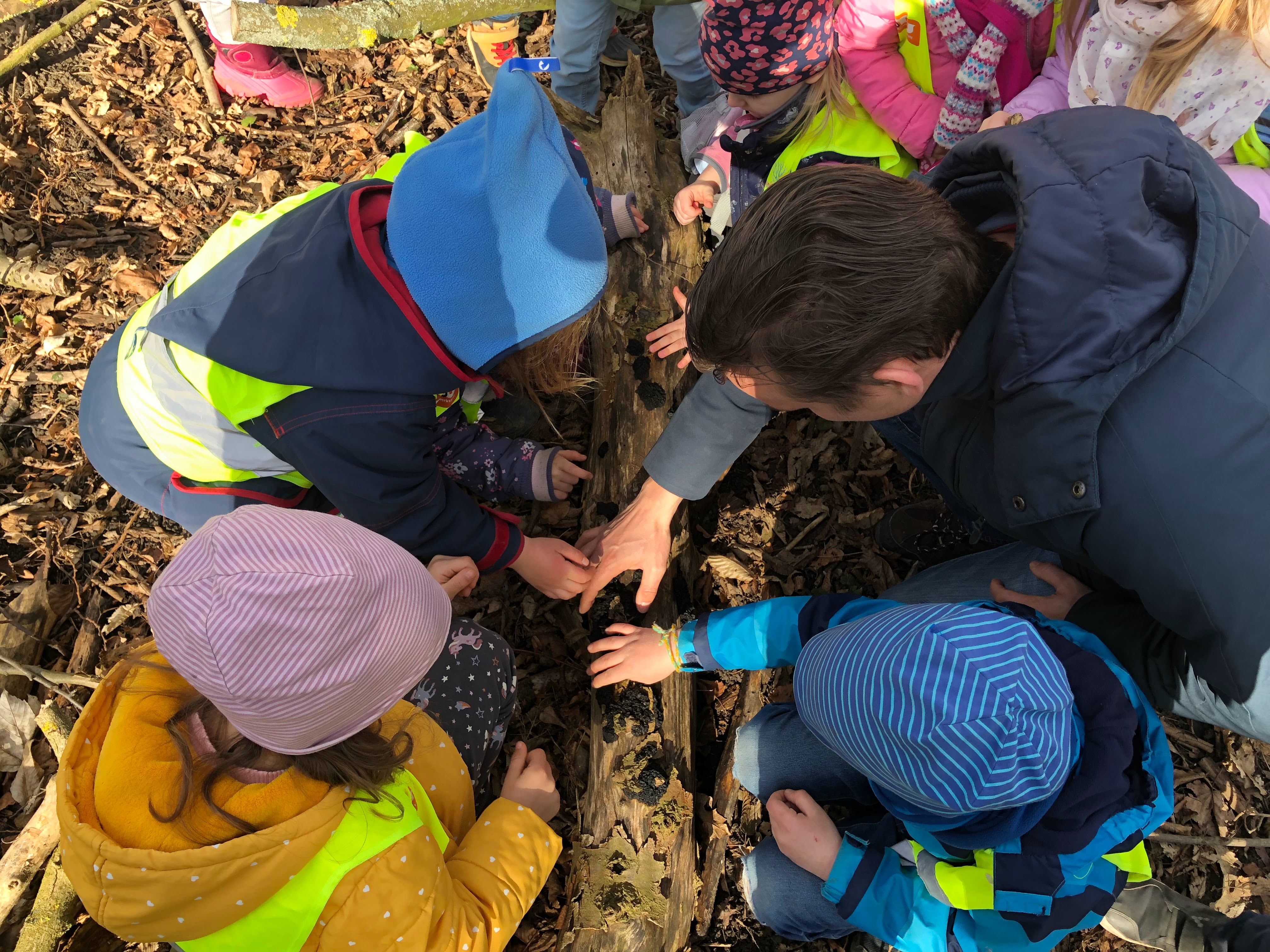 Marcus Heinzig beim Waldtag – Kinder entdecken gemeinsam die Natur unter einem Baumstamm